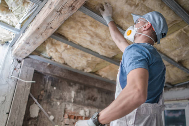 Best Insulation Materials and Products in Herlong, CA