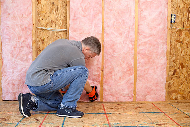 Best Insulation Maintenance and Repair in Herlong, CA