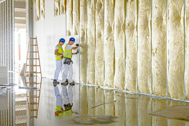 Best Insulation Maintenance and Repair in Herlong, CA